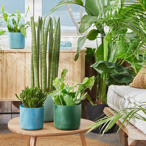 elho® Ocean Collection Round 22cm Pacific Green Pot image 3