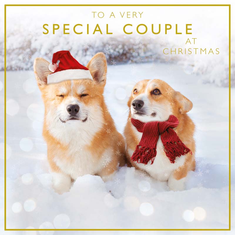 Paper Rose Corgi's In The Snow Special Couple Christmas Card image 0