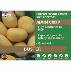 Buster Main Crop Seed Potatoes (2kg Bag) image 0