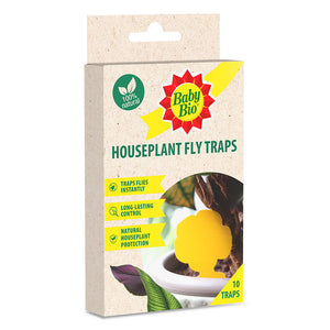 Baby Bio Houseplant Fly Traps (Pack of 10) image 0
