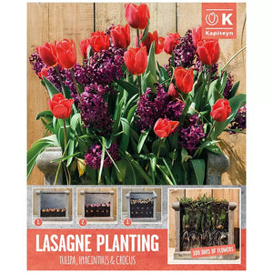 Lasagne Planting Bulb Mix 'Red & Purple' (40 bulbs) image 0