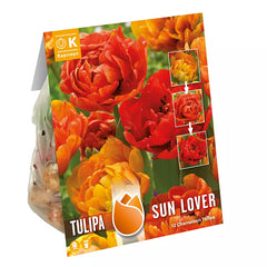 Tulip 'Sun Lover' (12 bulbs) image 0