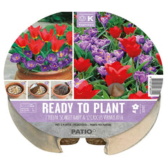 Ready to Plant Plant-O-Mat Tulip & Crocus 24cm/9.5" (19 bulbs) image 0
