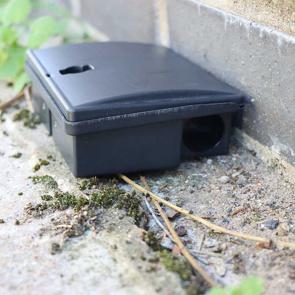 The Big Cheese Mouse Bait Station image 2
