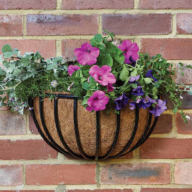 Smart Garden Forge Wall Basket (16-inch) image 0