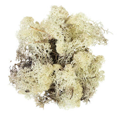 My Village Natural Reindeer Moss (500g) image 0