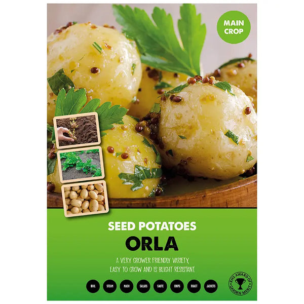 Orla Main Crop Seed Potatoes - 2kg image