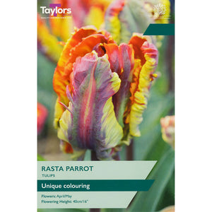 Tulip ‘Rasta Parrot’ (5 Bulbs) image 0