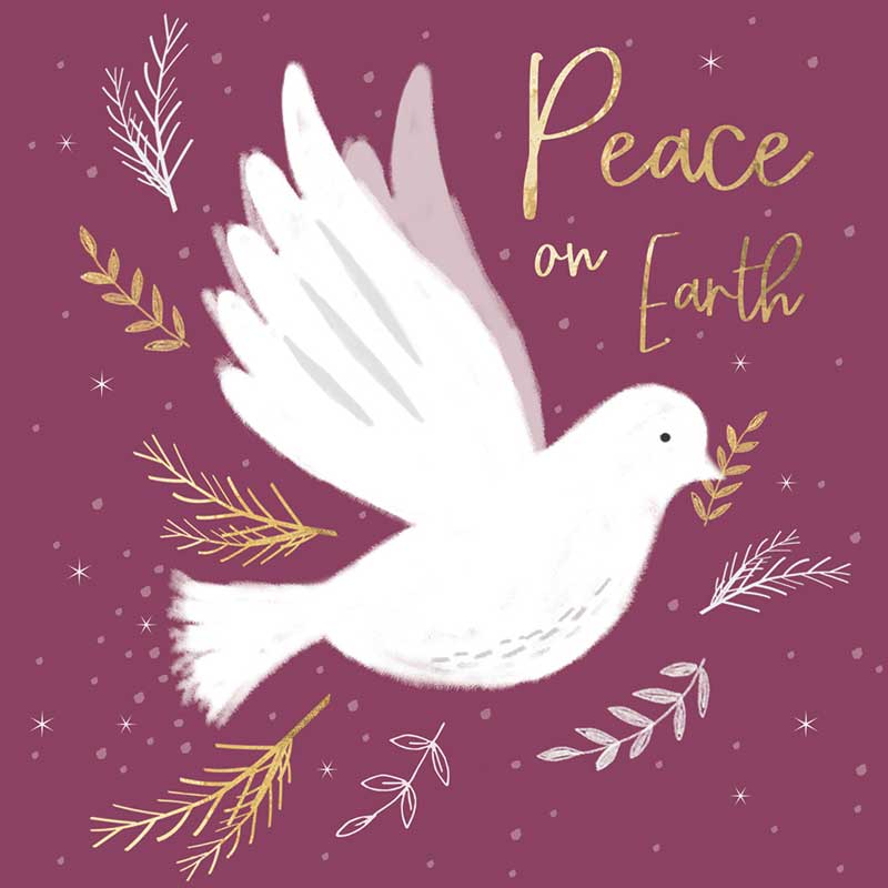 RSPB Small Square Christmas Cards - Peace On Earth (Pack of 10) image 0