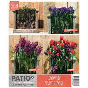 Lasagne Planting Bulb Mix 'Red & Purple' (40 bulbs) image 1