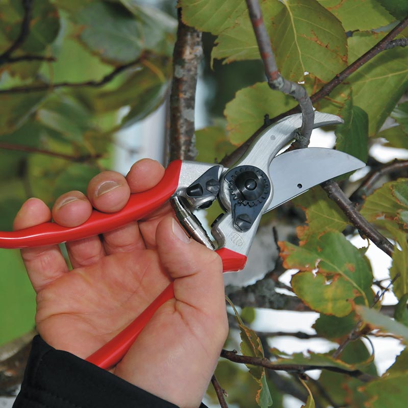 FELCO Model 2 Original Bypass Secateurs image 0