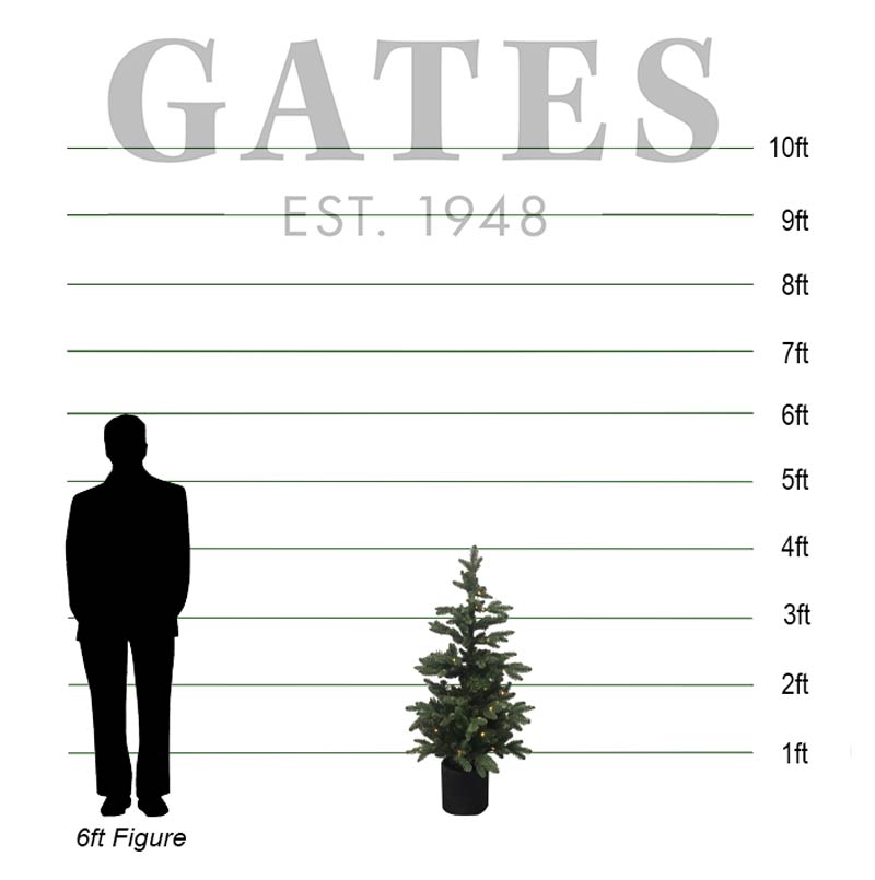 Everlands Battery-Operated Bergen Fir Pre-Lit Christmas Tree - 4ft image 0