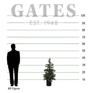 Everlands Battery-Operated Bergen Fir Pre-Lit Christmas Tree - 4ft image 1