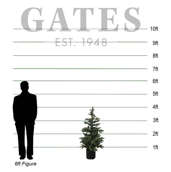 Everlands Battery-Operated Bergen Fir Pre-Lit Christmas Tree - 4ft image 1