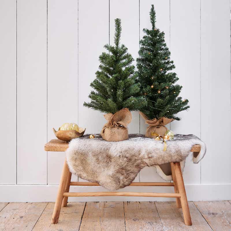 Everlands Mini Imperial Pine image 0