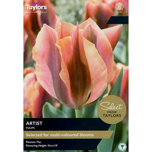 Tulip ‘Artist’ (7 Bulbs) image 0