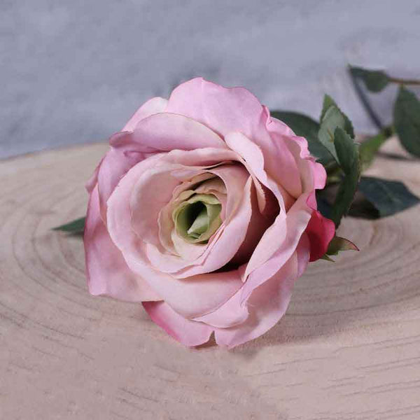 Single Antique Pink Olivia Rose Stem (73cm) image 0