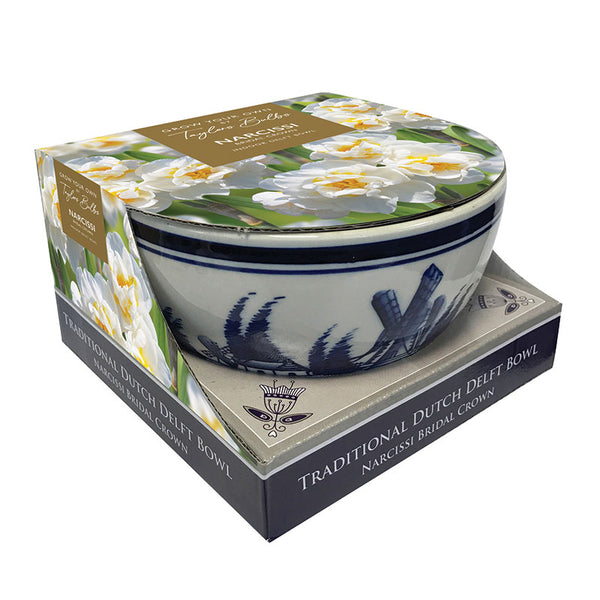 Indoor Delft Bowl Narcissus 'Bridal Crown' Daffodil Set (4 Bulbs) image 0