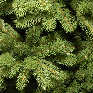 National Tree Newberry Spruce Artificial Christmas Tree - 5.5ft image 2