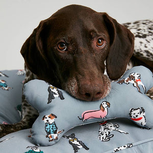 Joules Rainbow Dogs Comfort Bone Dog Toy image 2