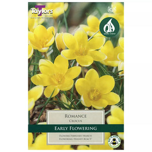 Crocus 'Romance' (15 bulbs) image 0