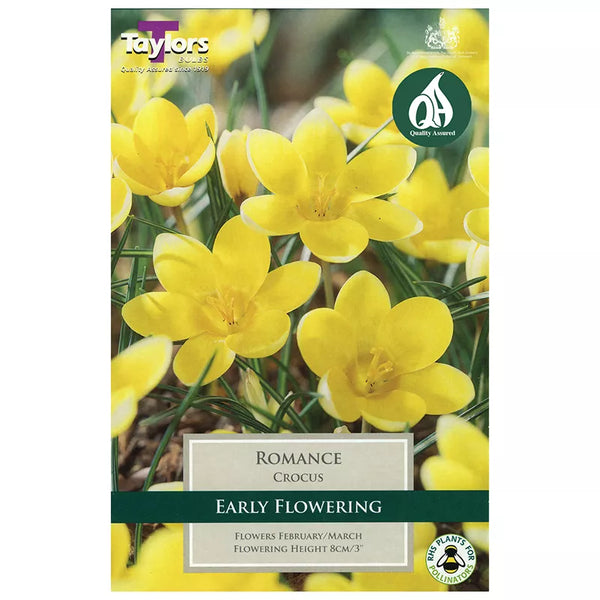 Crocus 'Romance' (15 bulbs) image 0