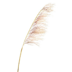 Emerald Cream Pampas Branch (125cm) image 0