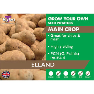Elland Main Crop Seed Potatoes (2kg Bag) image 0