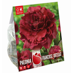 Paeonia 'Francoise Ortegat' (1 bare root) image 0