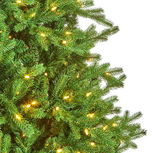 National Tree Princeton Medium Pre-Lit Christmas Tree - 7.5ft image 4