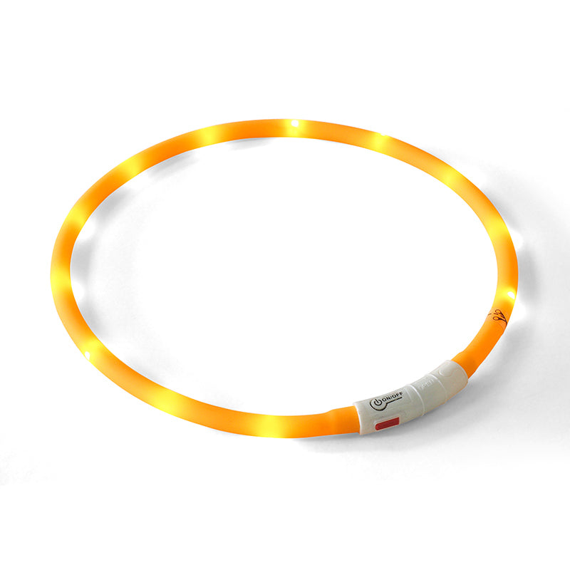 Zoon Flash & Go Rechargeable 'See-Dog' Ring image 0