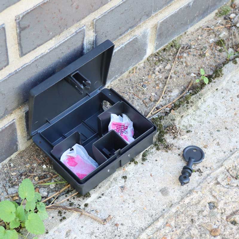 The Big Cheese Mouse Bait Station image 0