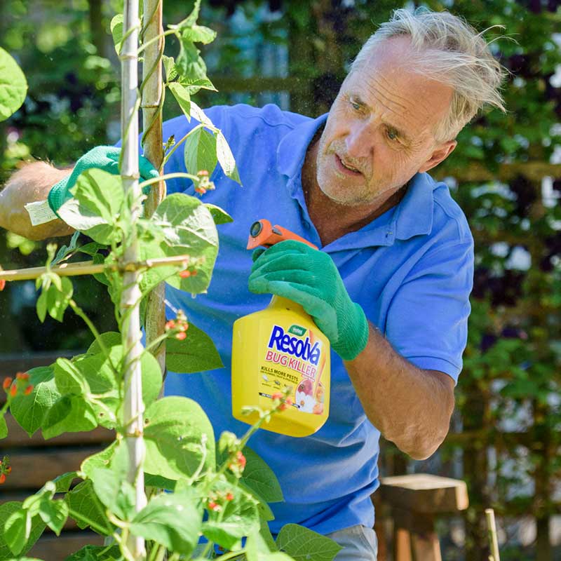 Westland Resolva Bug Killer Ready to Use 1 Litre image 0