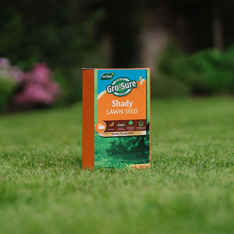 Westland Gro-Sure Shady Lawn Seed 10m sq. image 0
