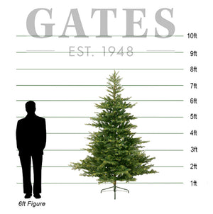 Everlands Grandis Fir / Whistler Fir Artificial Christmas Tree - 8ft / 2.4m image 1