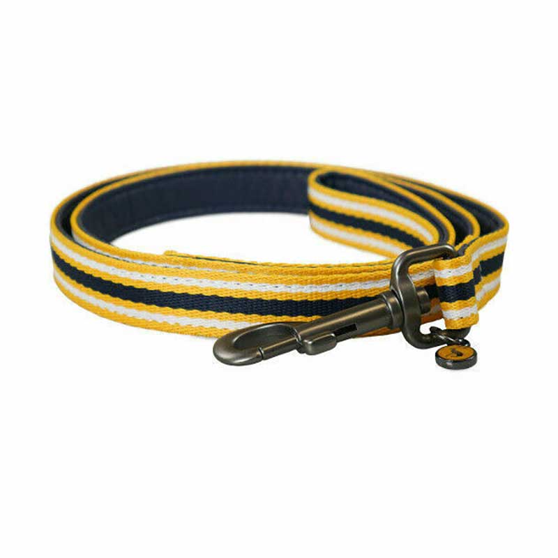 Joules Coastal Yellow Striped Lead image 0