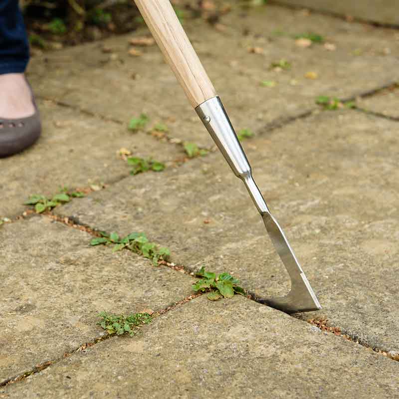 Kent & Stowe Stainless Steel Long Handled Weeding Knife image 0