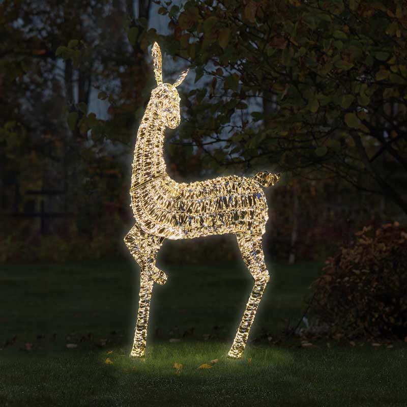 Three Kings GoldTwist Doe image 0