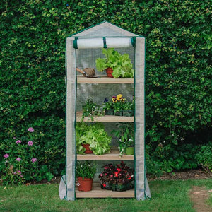 Premium 4 Tier Wooden Growhouse image 2