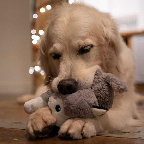 Petface Hitty Husky Plush Dog Toy image 3