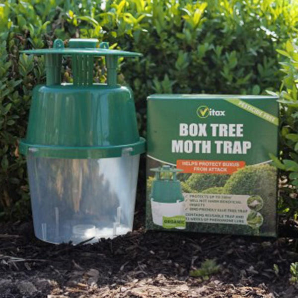 Vitax Organic Buxus Box Tree Moth Trap image 3