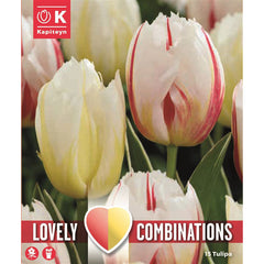 Lovely Combinations Tulip Triumph Happy Red and Yellow Mix (15 Bulbs) image 0