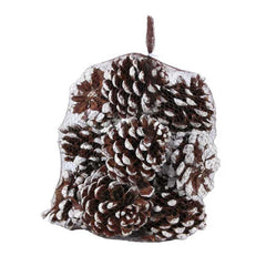 APAC White Tipped Pinecones (Pack of 12) image 0