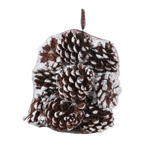 APAC White Tipped Pinecones (Pack of 12) image 0