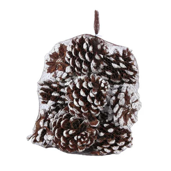 APAC White Tipped Pinecones (Pack of 12) image 0