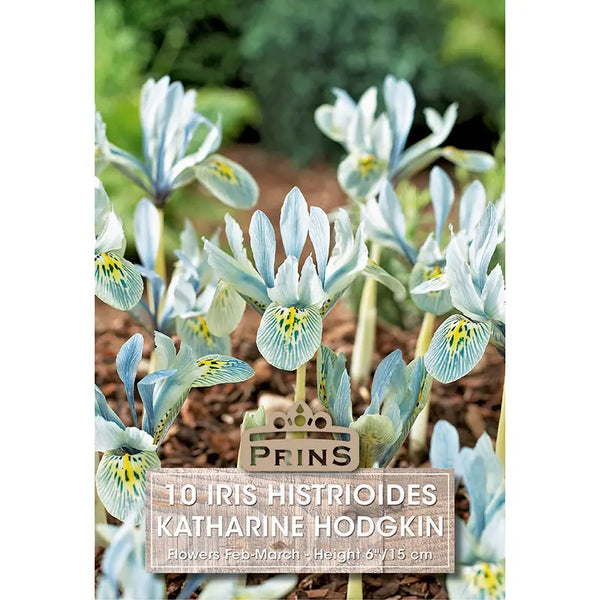 Iris 'Katharine Hodgkin' (10 bulbs) image 0