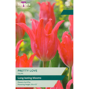 Tulip ‘Pretty Love’ (5 Bulbs) image 0