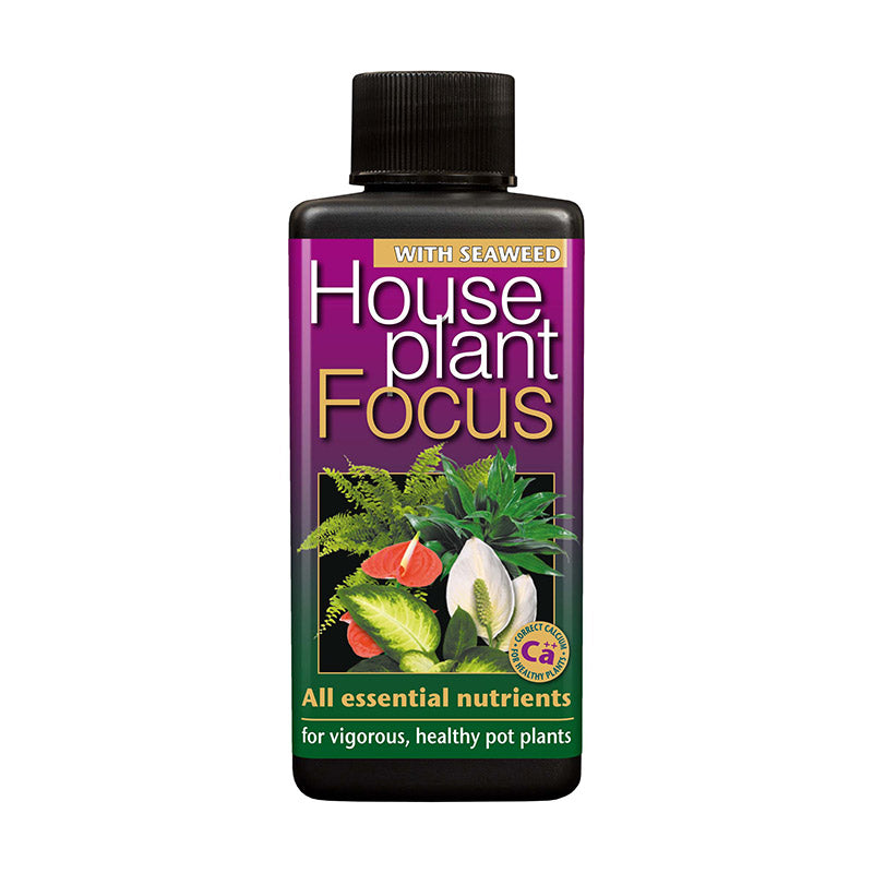 Growth Technology Houseplant Focus with Seaweed image 0