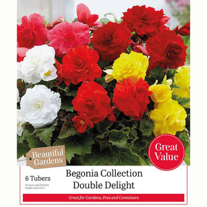 Begonia Collection ‘Double Delight’ (6 Tubers) image 0