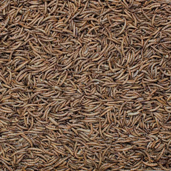 Henry Bell Mealworms image 1